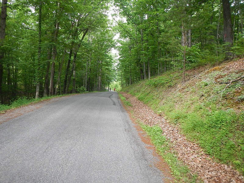 Conquer the Cove 25K