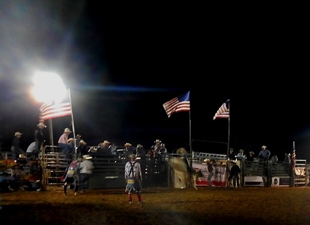 Rodeo