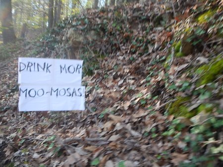 2015 Blue Ridge Half Marathon