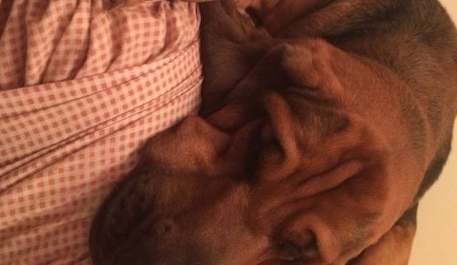 Low-key, just the way I like it