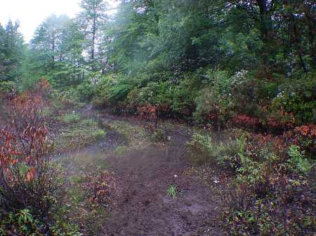 Ragnar Trail Appalachians Ragnar Relay Trails WV