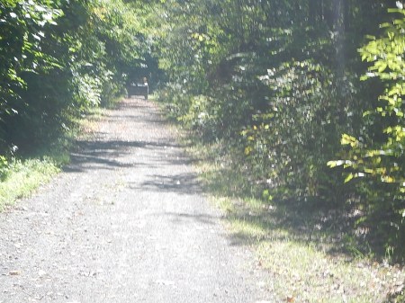 New River State Park Trail