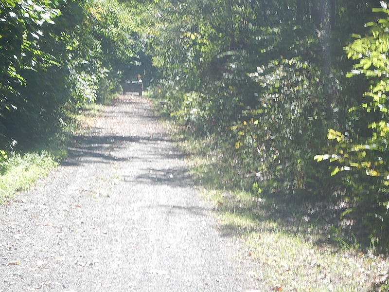 New River State Park Trail