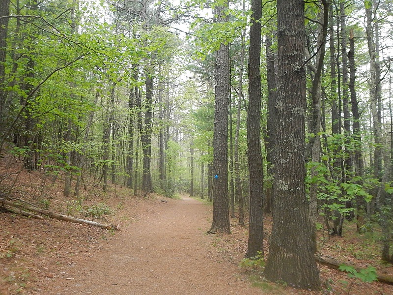 Horse Nettle Trail Poverty Creek Trail System Pandapas Pond