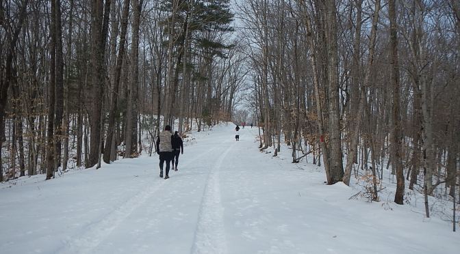 Explore Your Limits 10K 5K