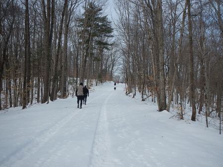 Explore Your Limits 10K 5K