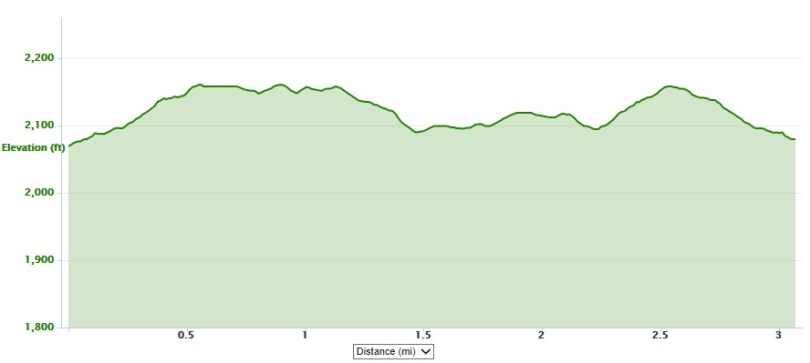 Downtown Sundown 5K