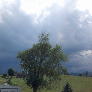 IMG_20140612_164305a