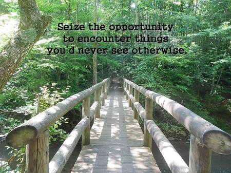 Jefferson National Forest Wolf Creek Day Use Area Trail Running