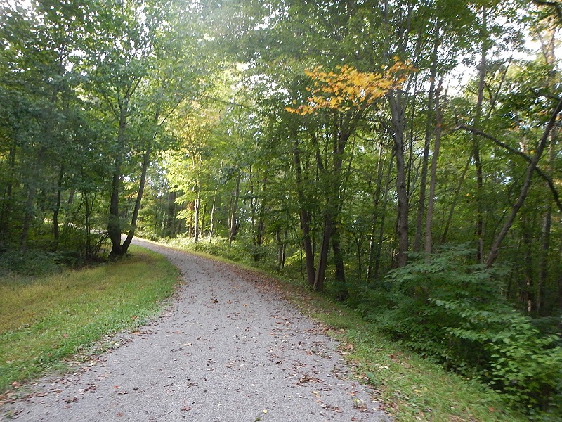 Dora Trail