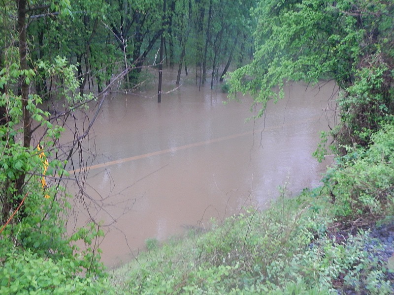 Flooding in Farmville