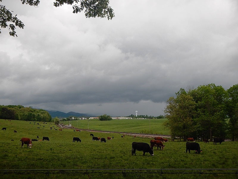 Storm Clouds