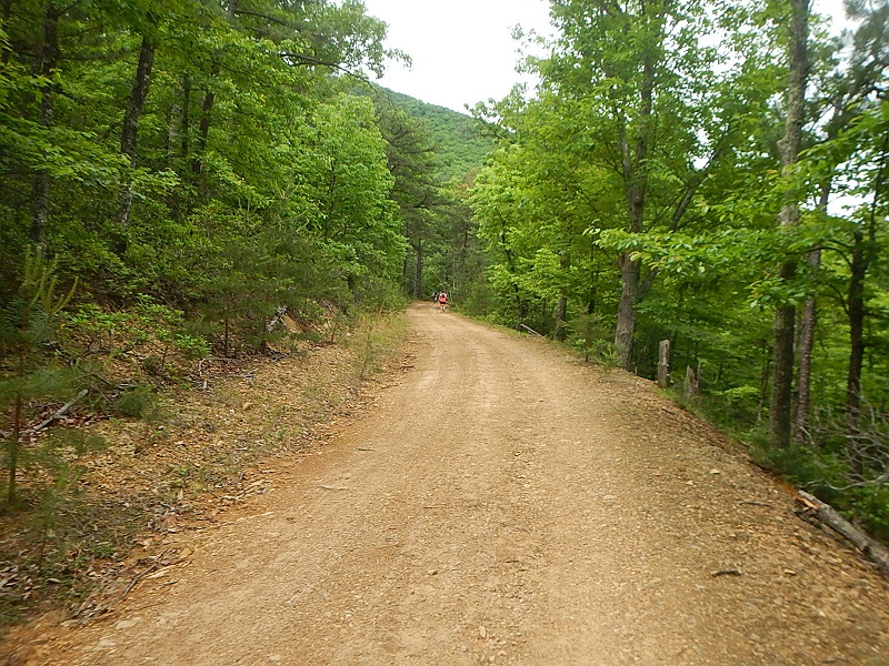 Conquer the Cove Trail 25K