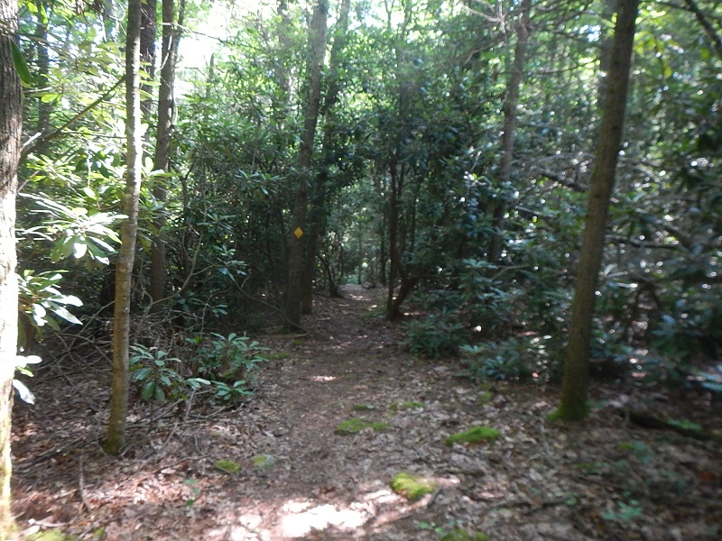 Jefferson National Forest Wolf Creek Day Use Area
