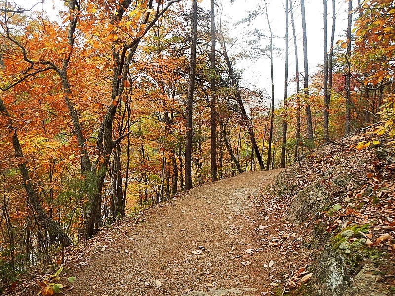 Hungry Mother State Park Lake Loop Trail