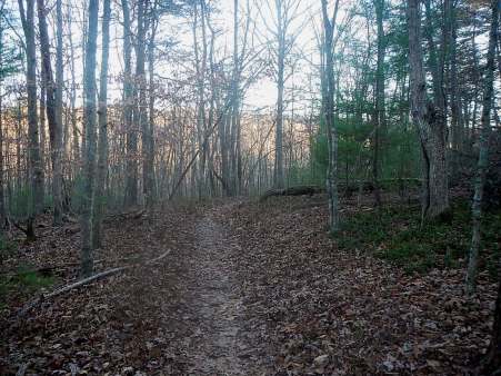 Pandapas Pond Poverty Creek Trail System