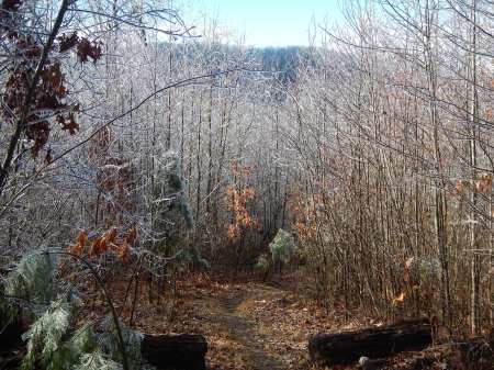Trail Running Draper Mountain
