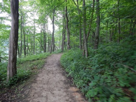 Hungry Mother State Park Trails