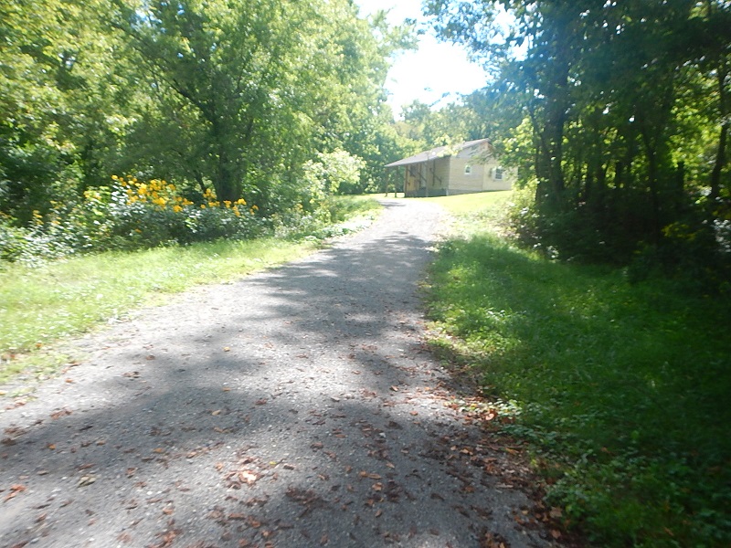 Dora Trail Pulaski