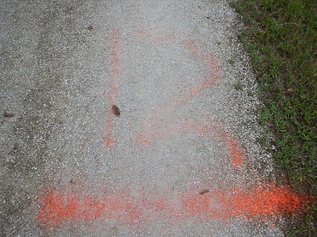 High Bridge Trail State Park