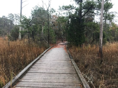 Seashore Nature Trail 50K Seashore 50K