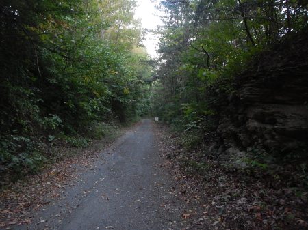 New River State Park Trail