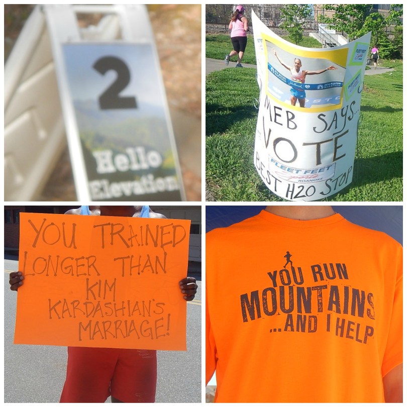 2014 Blue Ridge Marathon signs