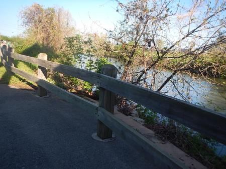 2015 Blue Ridge Half Marathon