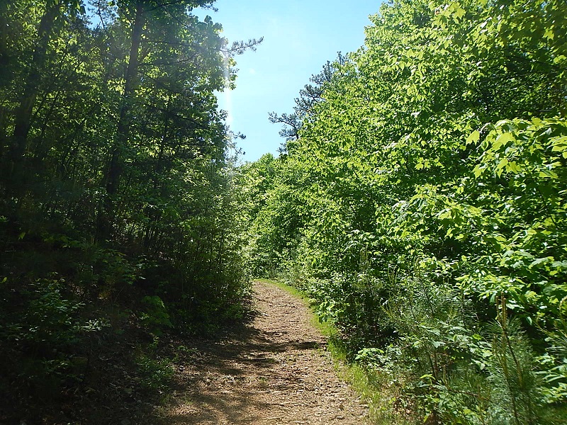 Snake Root Trail Poverty Creek Trail System Pandapas Pond