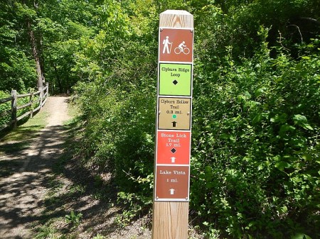 Hungry Mother State Park Trails