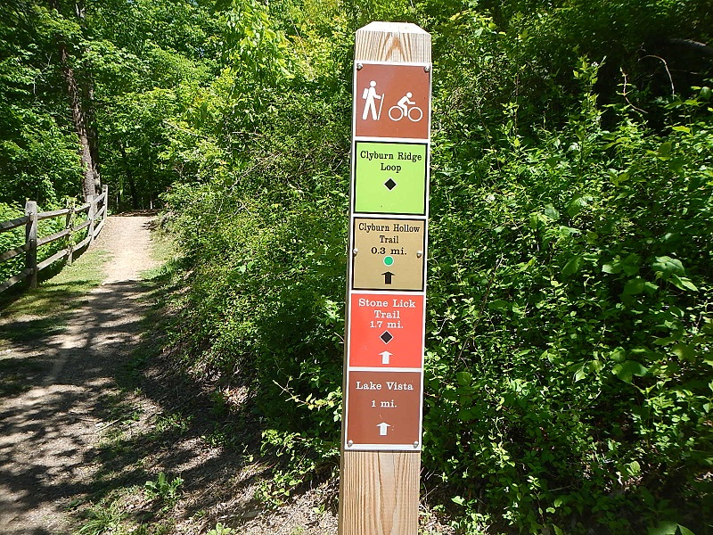 Hungry Mother State Park Trails
