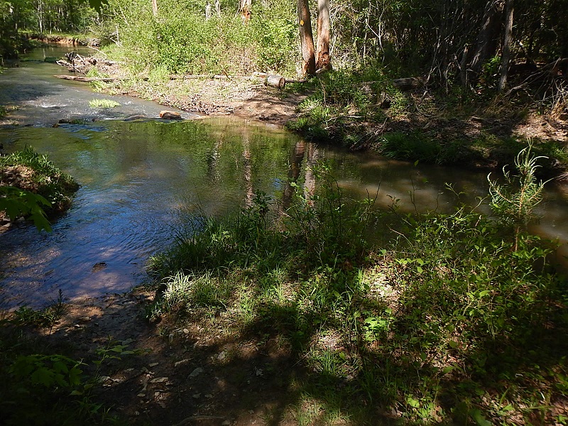Jacobs Ladder Trail creek crossing Poverty Creek Trail System Pandapas Pond