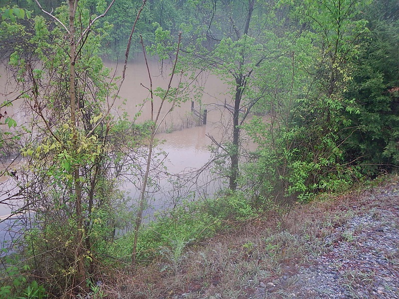 Flooding in Farmville