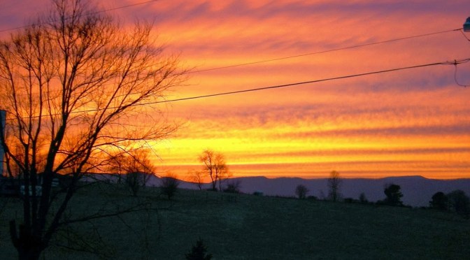 Yasso 800s reunion and a skunk update