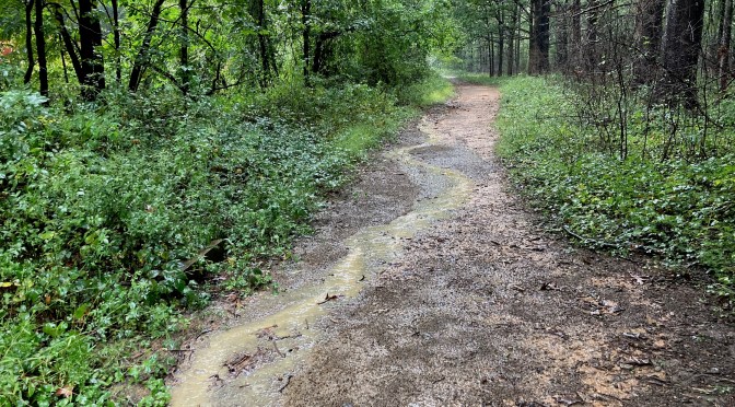 Virtual MCM Training – Week 9