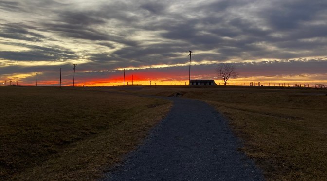 Four Weeks to 50K – Week 3