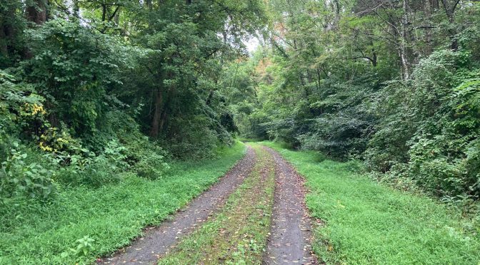 Virtual MCM Training – Week 3