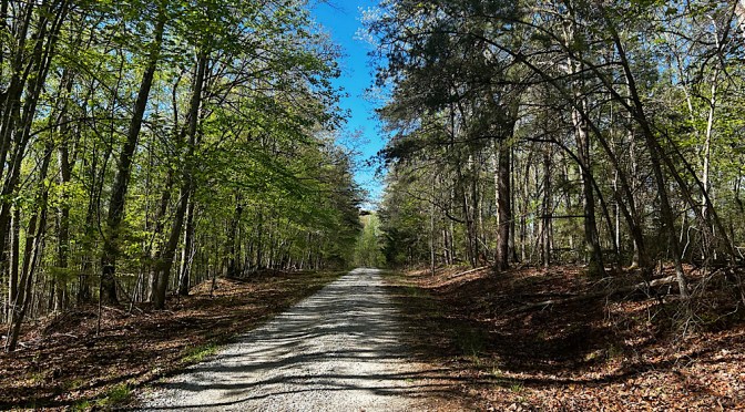 James River Trail Runs 10 Miler – Race Report